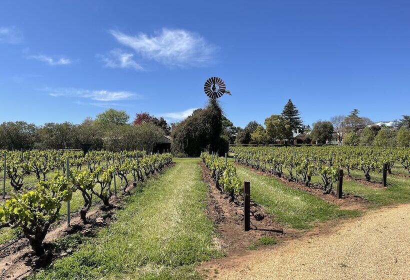 膳宿费 Le Mas Barossa