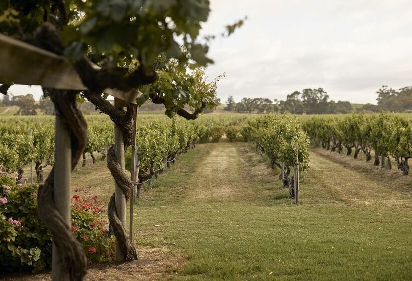 膳宿费 Le Mas Barossa