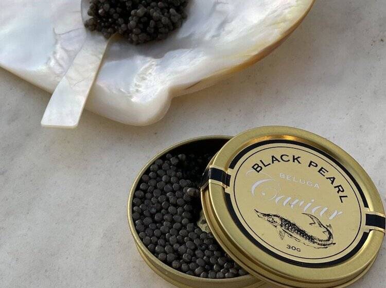 膳宿费 Le Mas Barossa