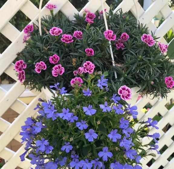 פנסיון On The Bay