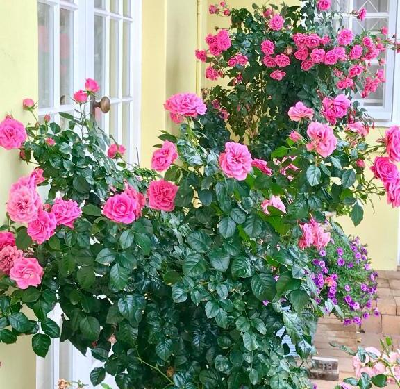 פנסיון On The Bay