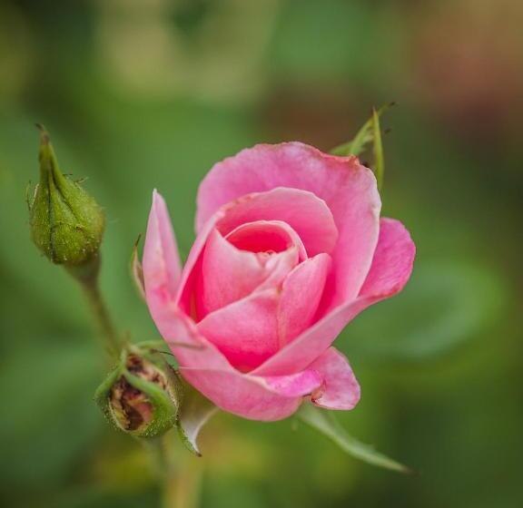 פנסיון On The Bay