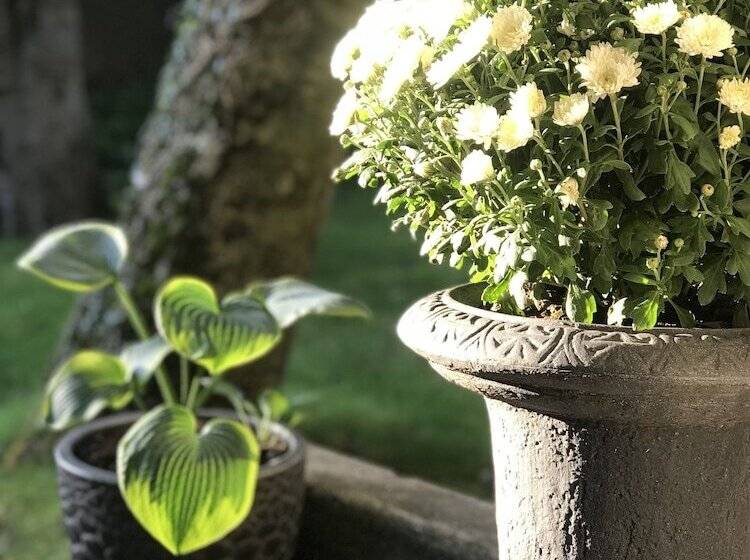 پانسیون Snorri's Guesthouse