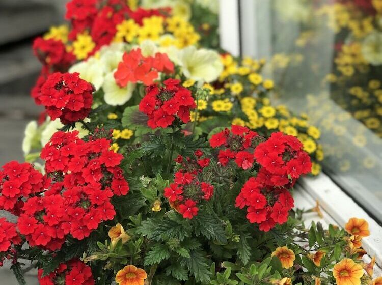 پانسیون Snorri's Guesthouse