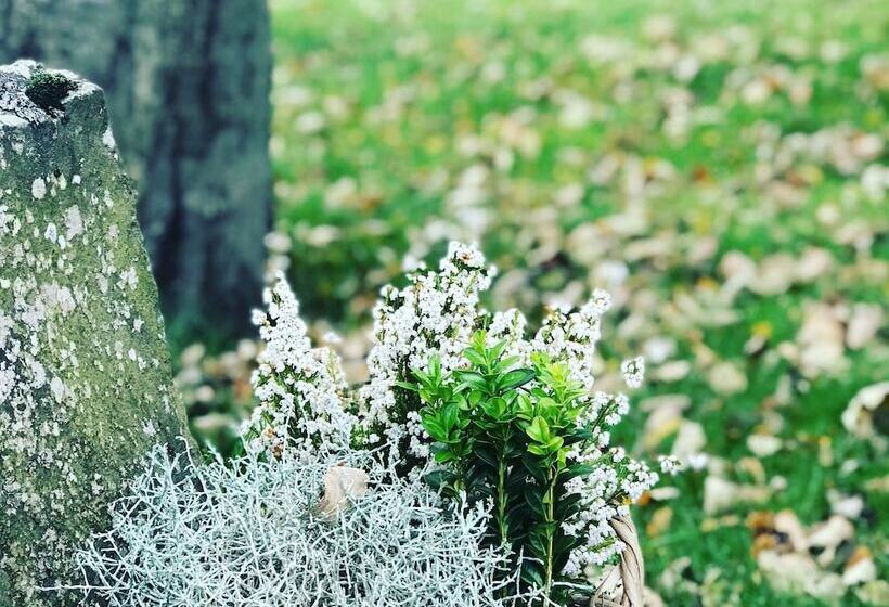 پانسیون Snorri's Guesthouse