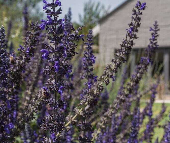 膳宿费 Veranda House