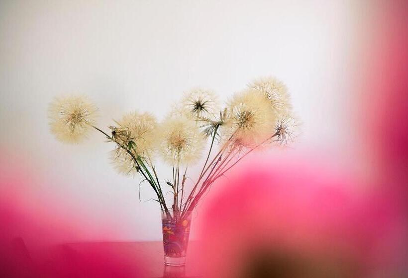 膳宿费 Xenion Ioannina