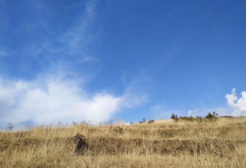 אתר נופש Vedalife Rejuvenation