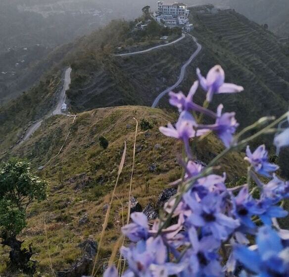 אתר נופש Vedalife Rejuvenation