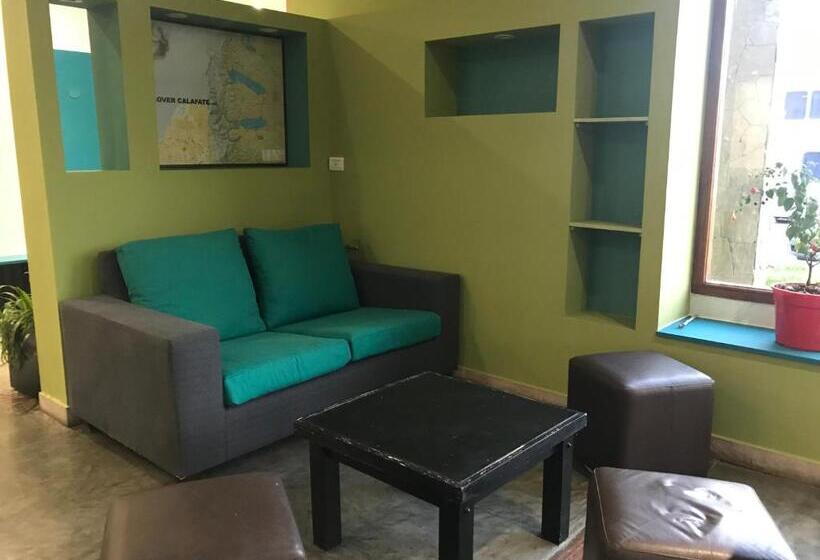 Общежитие Folk Suites