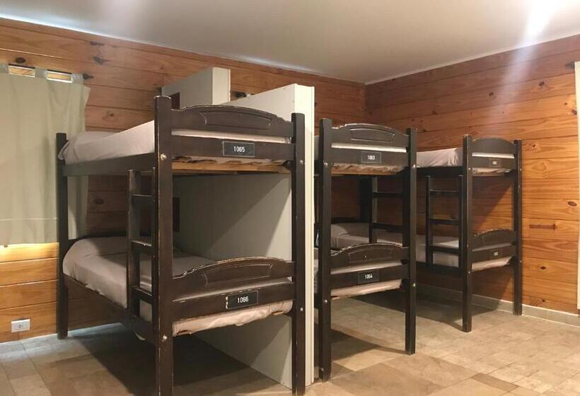 فندق صغير Folk Suites