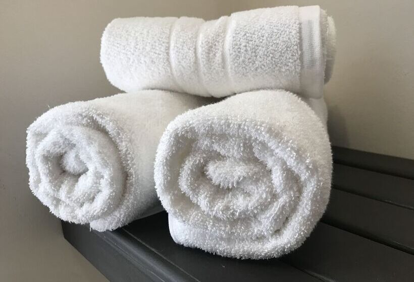 فندق صغير Folk Suites