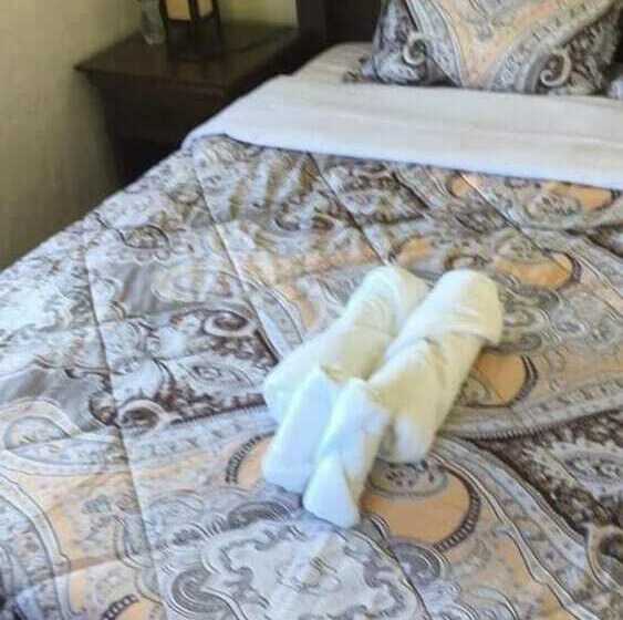 تختخواب و صبحانه Casa Del Faro