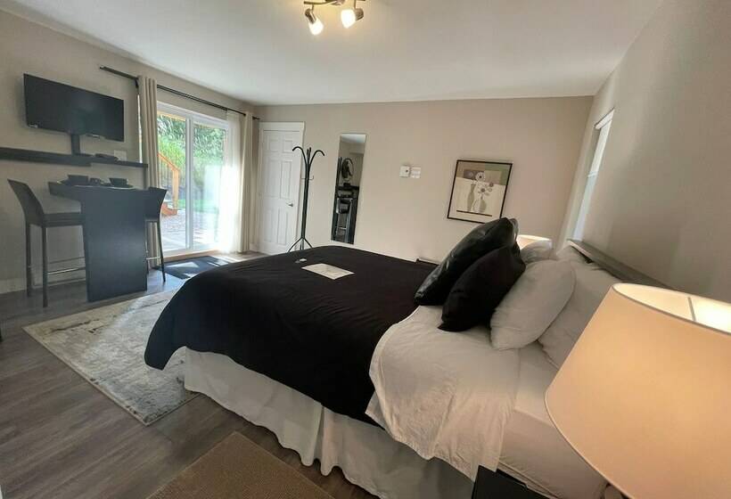 住宿加早餐  Le Den De Tremblant