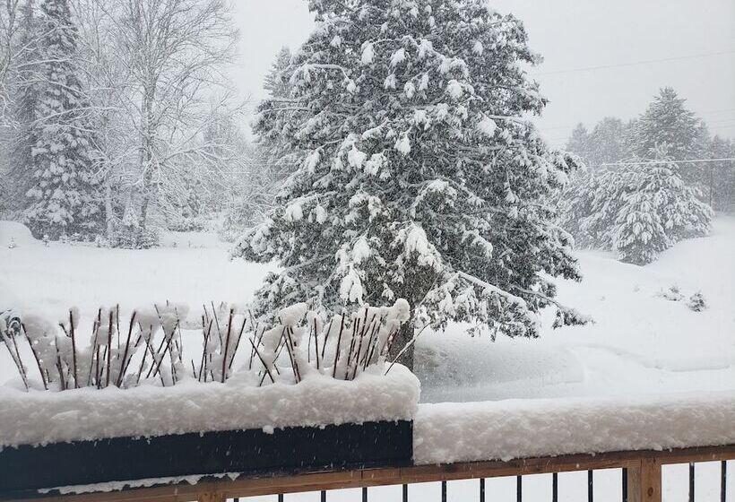 住宿加早餐  Le Den De Tremblant