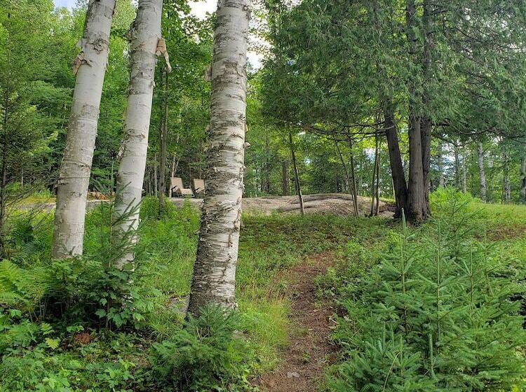 住宿加早餐  Le Den De Tremblant