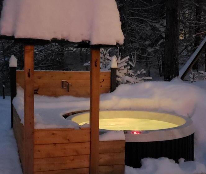 住宿加早餐  Le Den De Tremblant