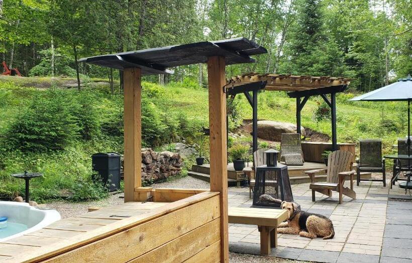 住宿加早餐  Le Den De Tremblant