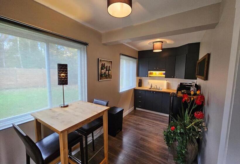 住宿加早餐  Le Den De Tremblant