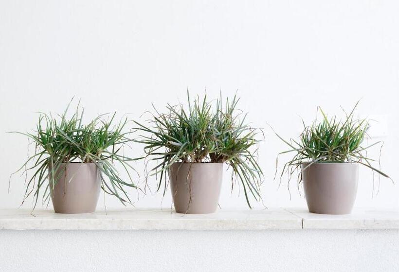 צימר Minimal Rooms