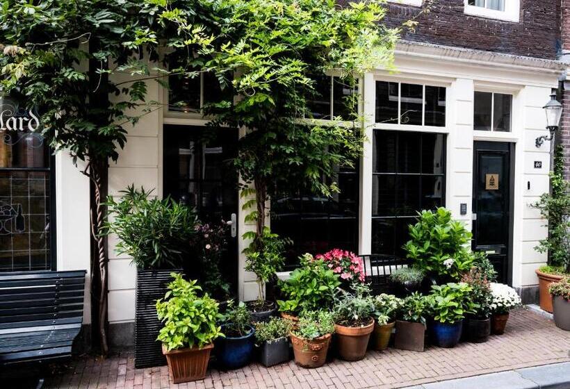 تختخواب و صبحانه The Blossom House Amsterdam