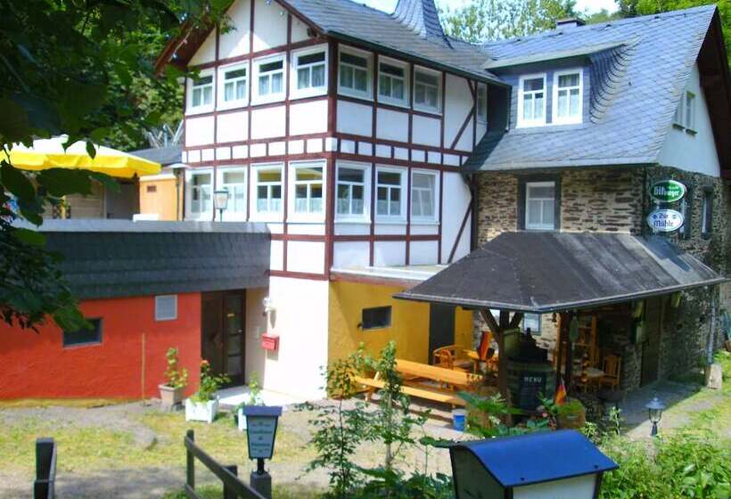 Ferienwohnungen Linkemühle
