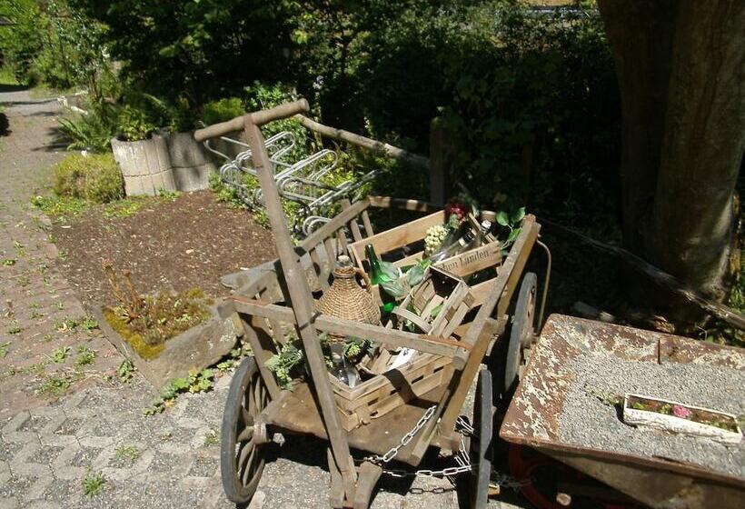 Ferienwohnungen Linkemühle