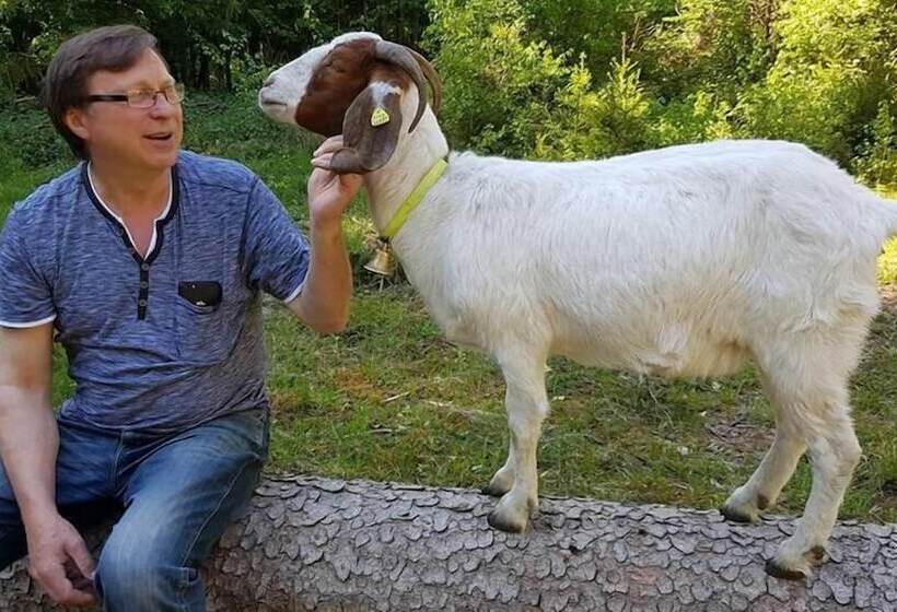 Ferienwohnungen Linkemühle