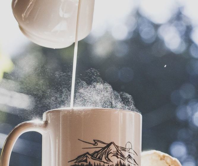 ホテル Bella Coola Mountain Lodge