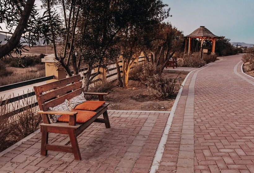 ホテル Contemplacion Resort & Spa