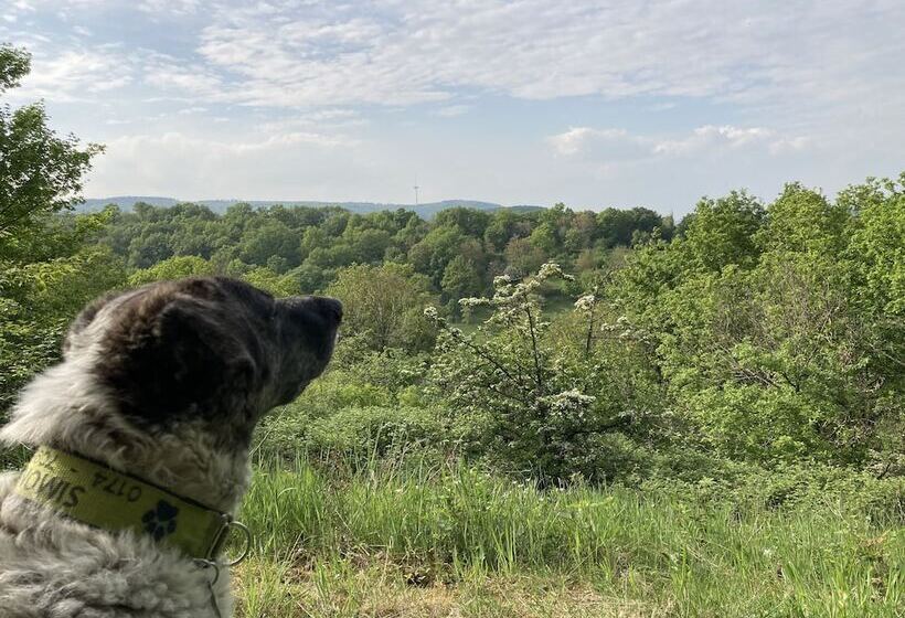 בית מלון כפרי Haus Mittelrhein