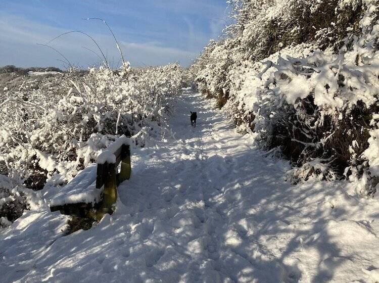 בית מלון כפרי Haus Mittelrhein