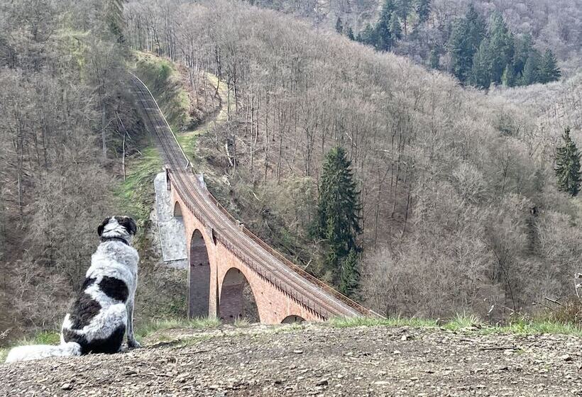 בית מלון כפרי Haus Mittelrhein