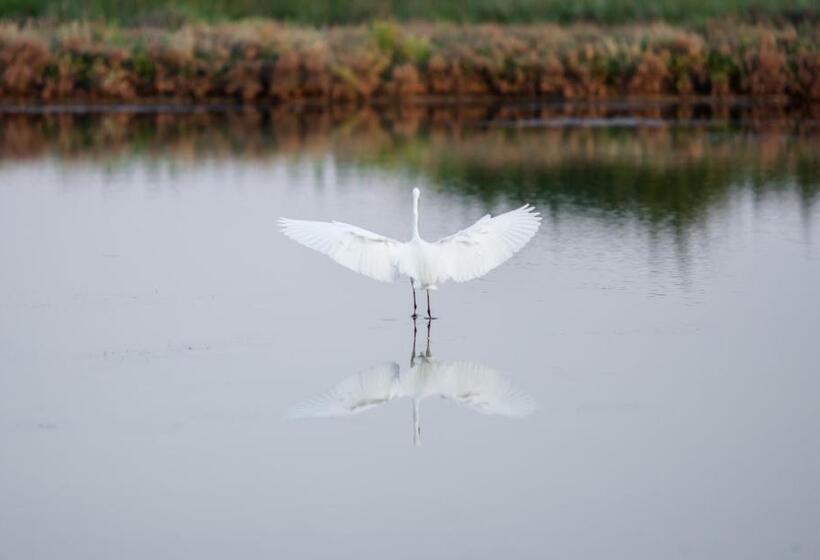 בית מלון כפרי Agriturismo Casa Fiorindo