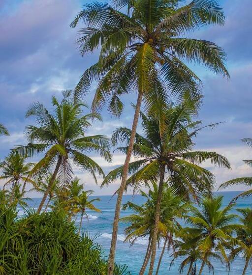 Отель Samaraana