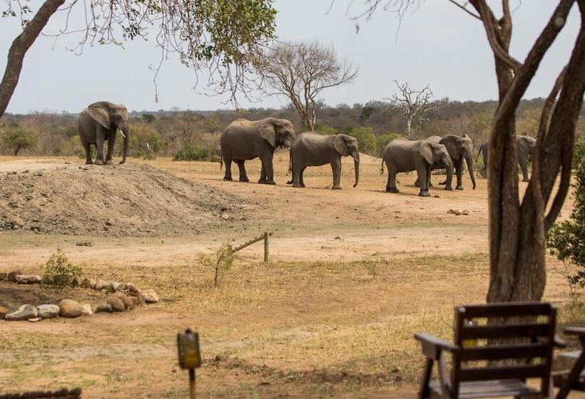 בית מלון כפרי Tangala Safari Camp