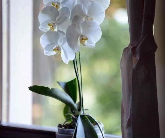 پانسیون Apartment House Koprivnik