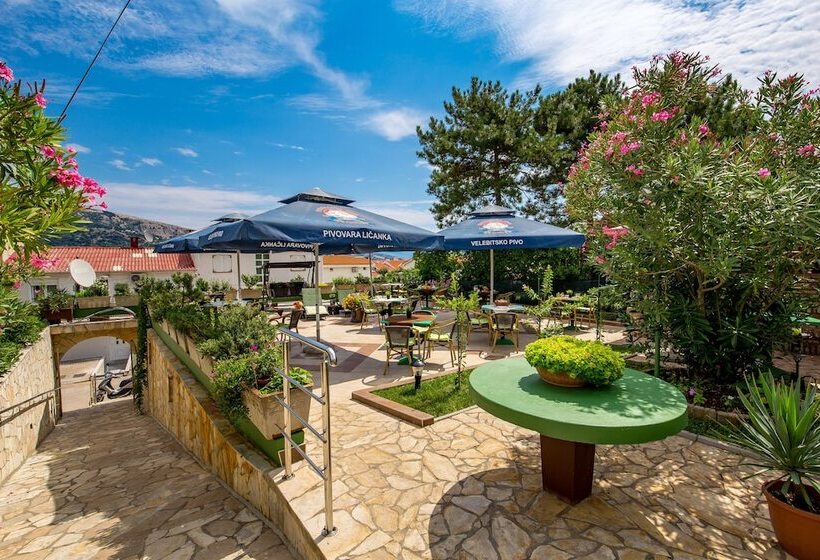 פנסיון Bed & Breakfast Villa Terezija
