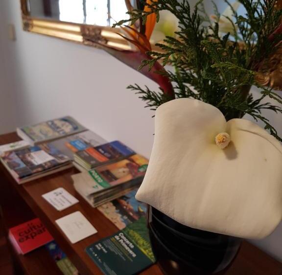 פנסיון Classico Guesthouse