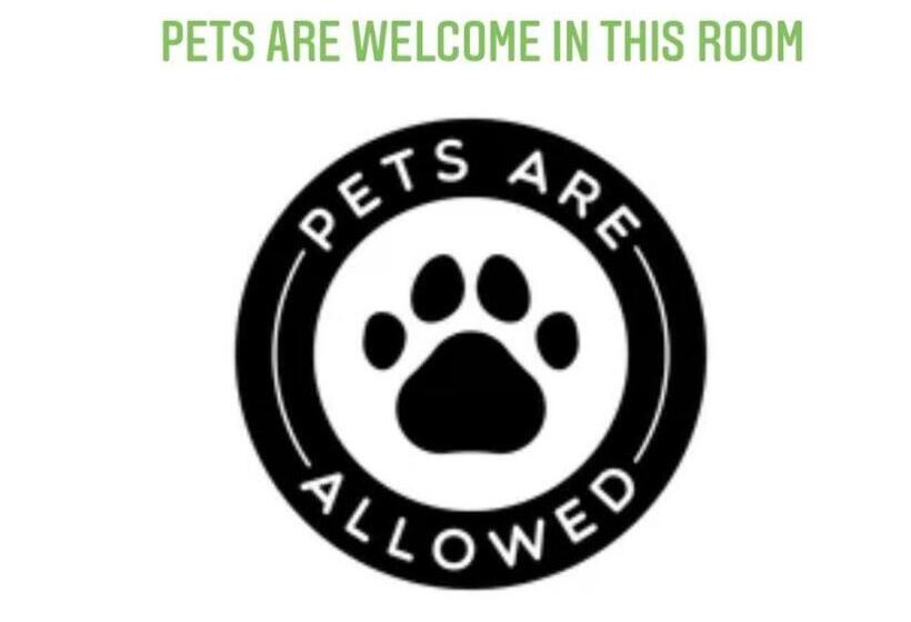 펜션 Classico Guesthouse