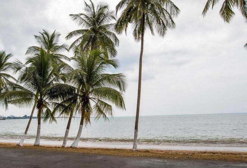 Пансион Paradise Agua Leve Residential