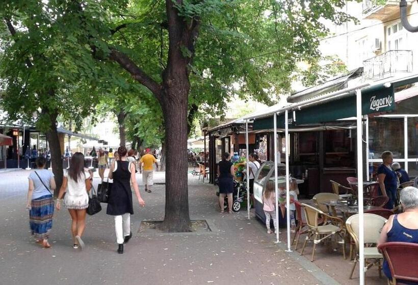 פנסיון Red House