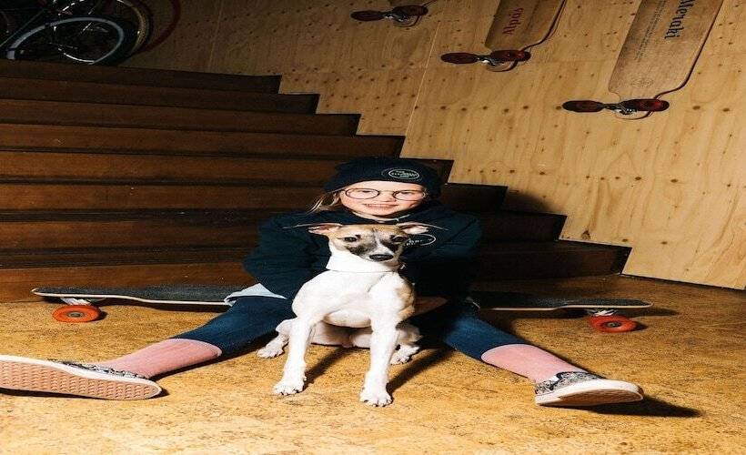 The Green Elephant Hostel & Spa