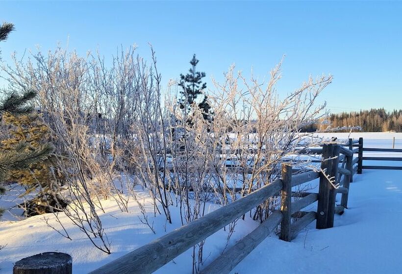 Woodhouse Cottages And Ranch