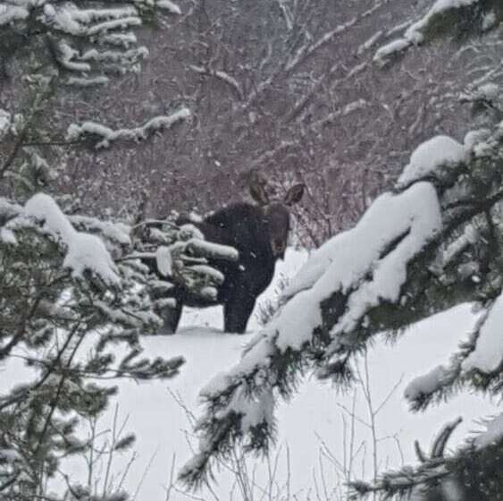 Woodhouse Cottages And Ranch