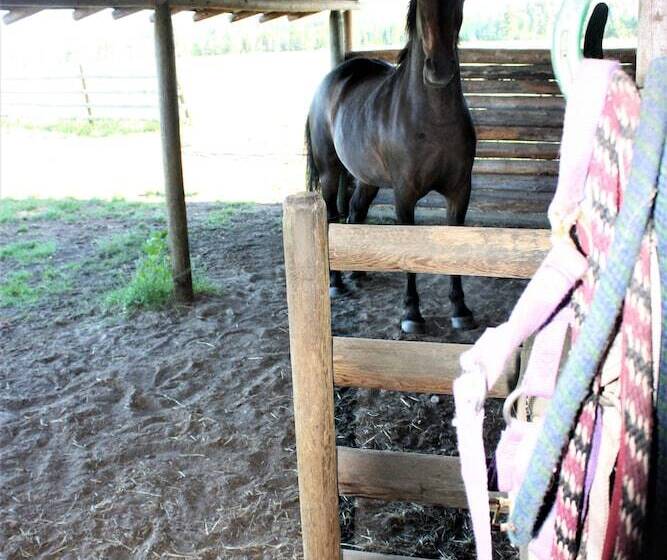 Woodhouse Cottages And Ranch