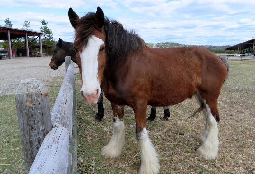 Woodhouse Cottages And Ranch