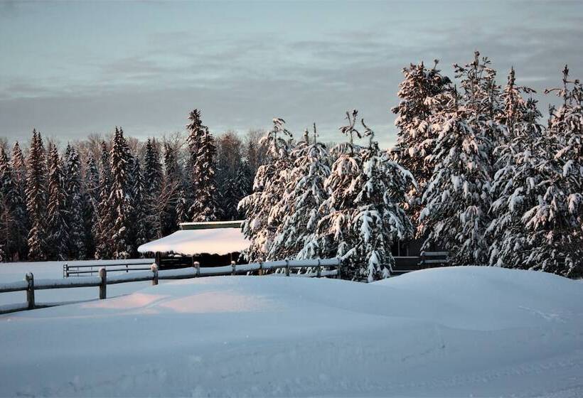 Woodhouse Cottages And Ranch