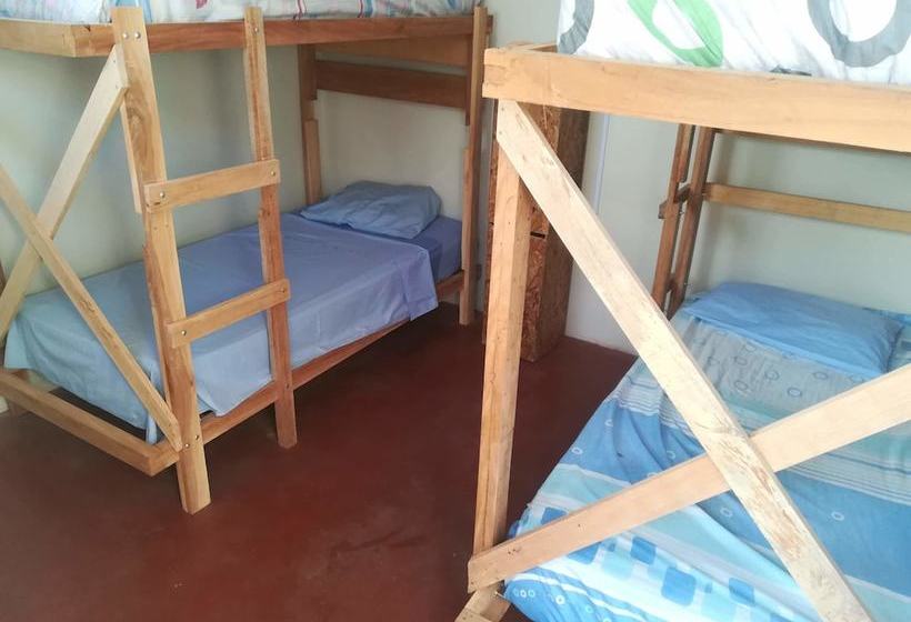 Yuntawasi Hostel Tarapoto