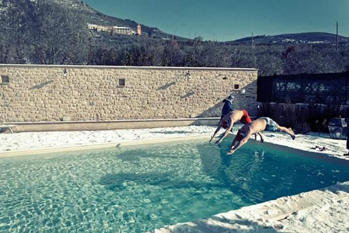 Agriturismo Monte Cologna